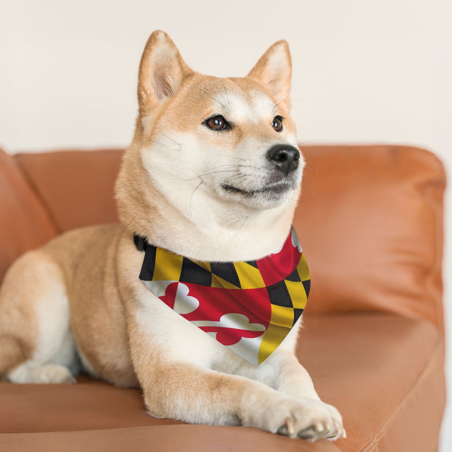 MD Flag Pet Bandana Collar