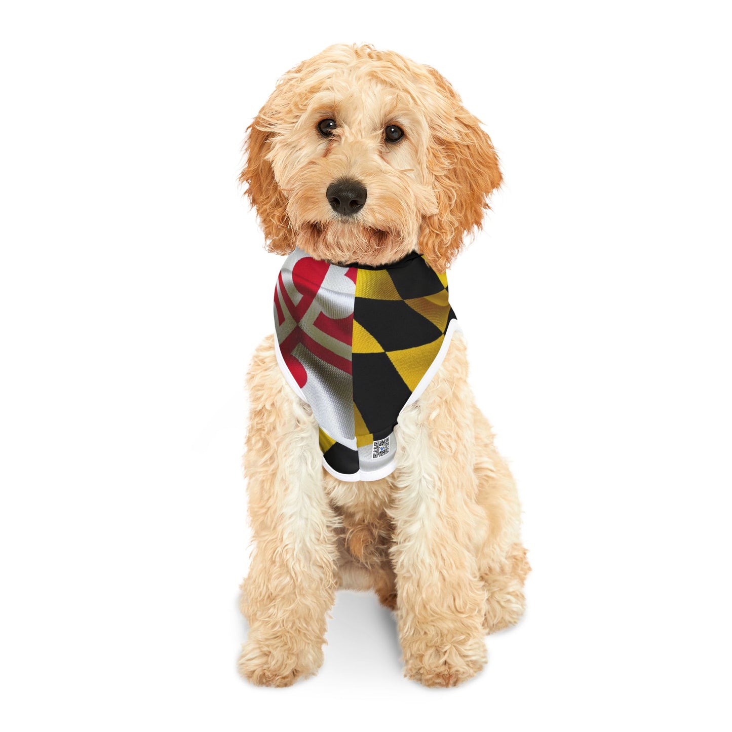 MD Flag Dog Hoodie