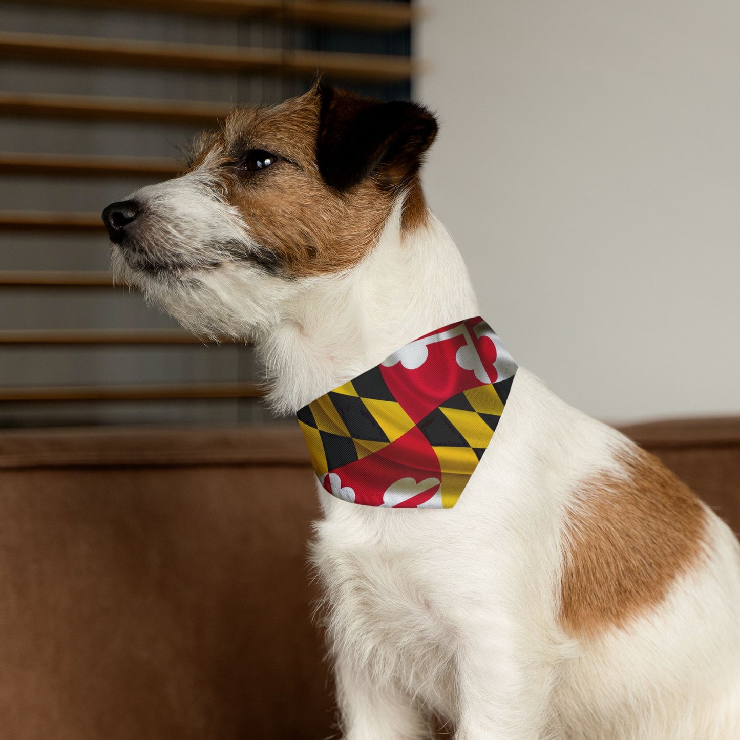 MD Flag Pet Bandana Collar